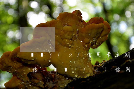 廣發(fā)信用卡逾期兩天會不會影響征信-廣發(fā)信用卡逾期兩天會不會影響征信?