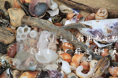 廣發(fā)信用卡逾期兩天有利息嗎(廣發(fā)銀行逾期4天還款對信用有影響嗎)