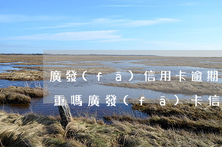 廣發(fā)信用卡逾期兩期嚴(yán)重嗎(廣發(fā)卡信用卡逾期1天)