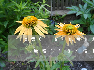 廣發(fā)信用卡逾期兩萬起訴了怎么辦-廣發(fā)信用卡逾期兩萬起訴了怎么辦啊