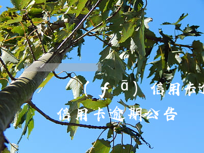 廣發(fā)信用卡逾期公告 廣發(fā)信用卡逾期公告