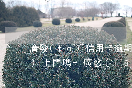 廣發(fā)信用卡逾期公安局會(huì)上門嗎-廣發(fā)信用卡逾期公安局會(huì)上門嗎是真的嗎