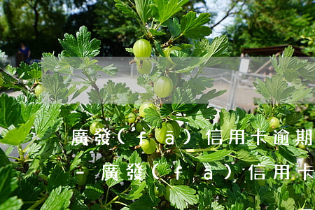 廣發(fā)信用卡逾期凍結怎么解凍上海-廣發(fā)信用卡逾期凍結怎么解凍上海銀行