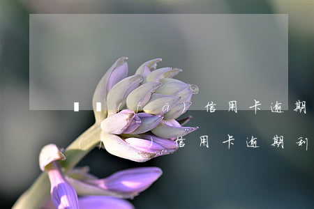 廣發(fā)信用卡逾期利息怎么算嗎(廣發(fā)信用卡逾期利息怎么算嗎)