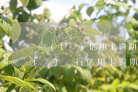 廣發(fā)信用卡逾期利息是多少(廣發(fā)銀行信用卡逾期一天有沒有影響?)