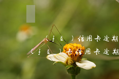廣發(fā)信用卡逾期半年能分期嗎 廣發(fā)卡信用卡逾期3天