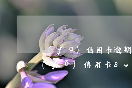 廣發(fā)信用卡逾期半年金額九千-廣發(fā)信用卡8w逾期三個月
