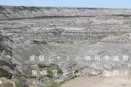 廣發(fā)信用卡逾期協(xié)商分期(廣發(fā)信用卡逾期協(xié)商分期付款手續(xù)費(fèi)減免)