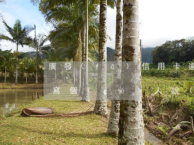 廣發(fā)信用卡逾期協(xié)商要寫個(gè)人說(shuō)明-廣發(fā)信用卡逾期協(xié)商要寫個(gè)人說(shuō)明嗎