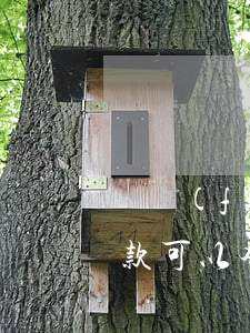 廣發(fā)信用卡逾期協(xié)商還款可以本金打折嗎-廣發(fā)信用卡逾期協(xié)商還款可以本金打折嗎