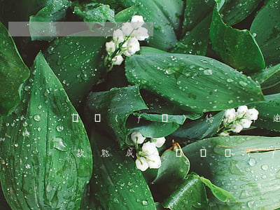 廣發(fā)信用卡逾期協(xié)商還款能成功嗎(廣發(fā)協(xié)商還款不成功)