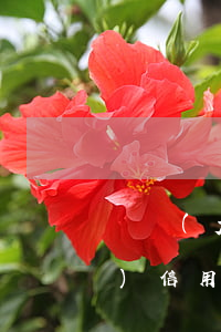 廣發(fā)信用卡逾期去單位 廣發(fā) 信用卡 逾期