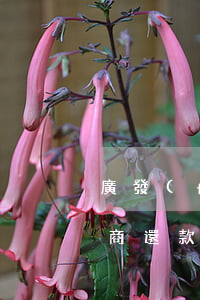 廣發(fā)信用卡逾期可以協(xié)商還款嗎(廣發(fā)銀行能協(xié)商還款嗎)
