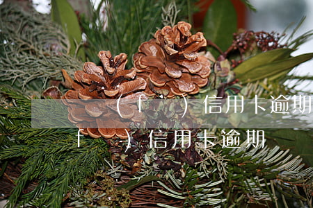 廣發(fā)信用卡逾期后銀行騷擾(廣發(fā) 信用卡 逾期)