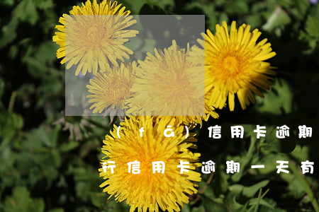 廣發(fā)信用卡逾期嚴重(廣發(fā)銀行信用卡逾期一天有沒有影響?)