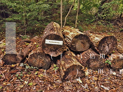 廣發(fā)信用卡逾期四個(gè)月(廣發(fā)信用卡逾期四個(gè)月,要起訴)