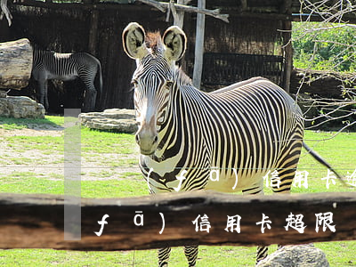 廣發(fā)信用卡逾期四個月鎖卡(廣發(fā)信用卡 超限)