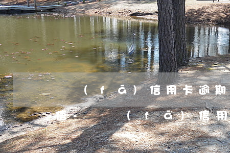 廣發(fā)信用卡逾期四天會不會影響征信?-廣發(fā)信用卡逾期四天會不會影響征信記錄