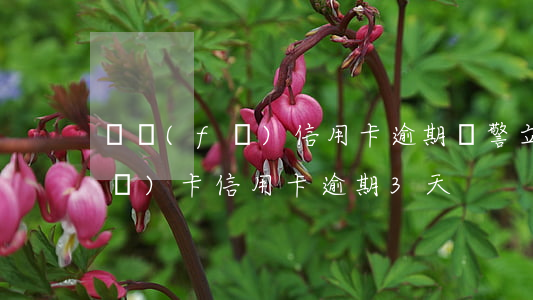 廣發(fā)信用卡逾期報警立案(廣發(fā)卡信用卡逾期3天)