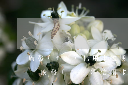 廣發(fā)信用卡逾期多久上征信黑名單-廣發(fā)信用卡逾期多久上征信黑名單了