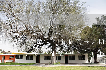 廣發(fā)信用卡逾期多久就會(huì)影響征信-廣發(fā)信用卡逾期多久就會(huì)影響征信了