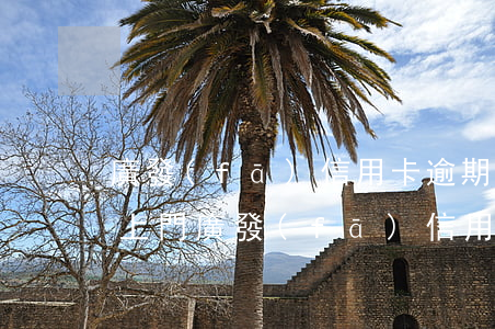 廣發(fā)信用卡逾期多久會(huì)上門(廣發(fā)信用卡逾期多久會(huì)上門)