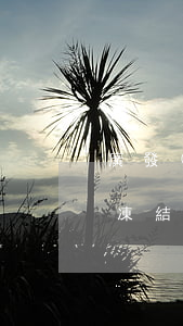 廣發(fā)信用卡逾期多久會(huì)凍結(jié)卡