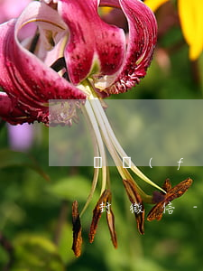 廣發(fā)信用卡逾期多久會(huì)封微信-欠信用卡會(huì)不會(huì)封微信