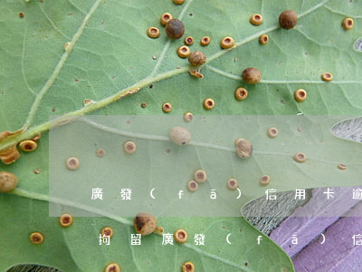 廣發(fā)信用卡逾期多久會(huì)拘留(廣發(fā)信用卡逾期多久會(huì)拘留)
