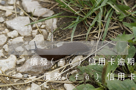 廣發(fā)信用卡逾期多久會有危險記錄-廣發(fā)信用卡逾期多久會有危險記錄呢