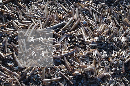 廣發(fā)信用卡逾期天數(shù)怎么計(jì)算(廣發(fā)銀行的信用卡有效期怎么看)
