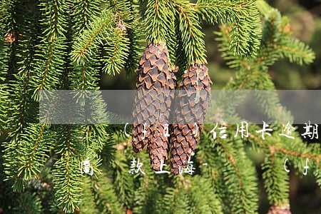廣發(fā)信用卡逾期如何協(xié)商還款上海-廣發(fā)信用卡逾期如何協(xié)商還款上海銀行