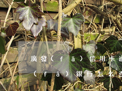廣發(fā)信用卡逾期如何查詢本金 廣發(fā)銀行怎么查信用卡