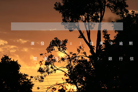廣發(fā)信用卡逾期寬限時(shí)間(廣發(fā)銀行信用卡 寬限期)