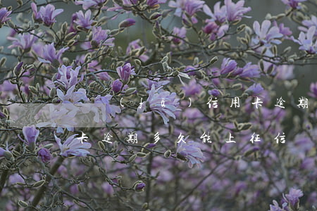 廣發(fā) 信用卡 逾期（廣發(fā)信用卡逾期多久能上征信）