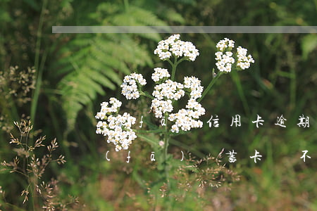 廣發(fā)信用卡逾期影響辦儲蓄卡嗎(廣發(fā)儲蓄卡會不會對信用卡有幫助)