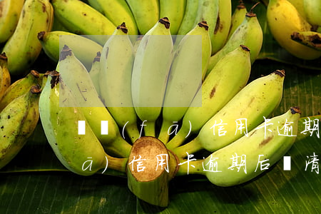 廣發(fā)信用卡逾期怎么上岸(廣發(fā)信用卡逾期后還清了多久才能恢復(fù)使用)