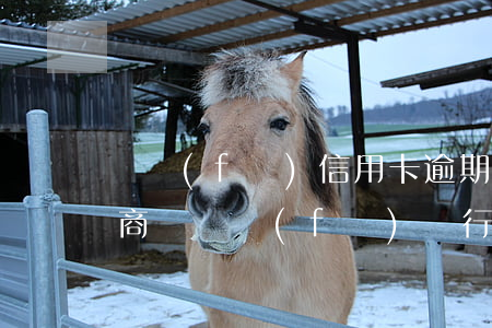 廣發(fā)信用卡逾期怎么協(xié)商還(廣發(fā)銀行逾期很久能不能協(xié)商分期還款)
