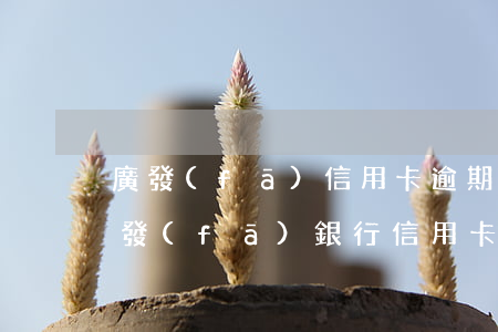 廣發(fā)信用卡逾期手里沒錢怎么辦(廣發(fā)銀行信用卡 逾期)