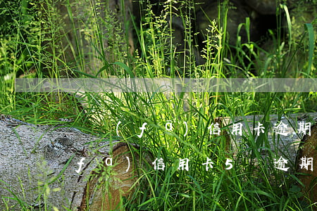 廣發(fā)信用卡逾期接近3個月(廣發(fā)信用卡5萬逾期三個月)