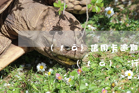 廣發(fā)信用卡逾期是經(jīng)偵嗎(廣發(fā)銀行信用卡逾期20天,發(fā)信息說立案)