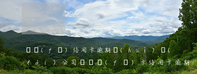 廣發(fā)信用卡逾期會(huì)來(lái)公司嗎(廣發(fā)卡信用卡逾期1天)