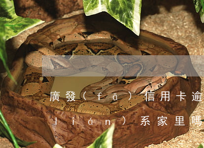 廣發(fā)信用卡逾期會(huì)聯(lián)系家里嗎-廣發(fā) 信用卡 逾期