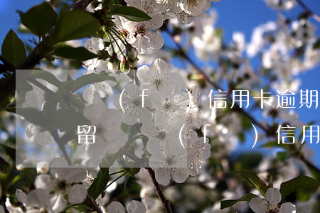 廣發(fā)信用卡逾期會(huì)被拘留嗎(廣發(fā)信用卡逾期會(huì)被拘留嗎)