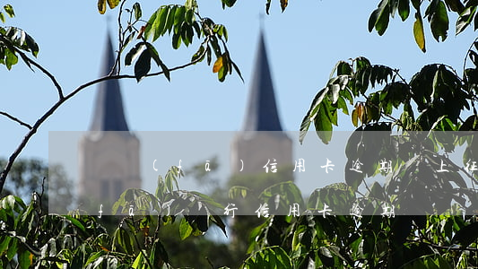 廣發(fā)信用卡逾期會上征信嗎(廣發(fā)銀行信用卡 逾期)