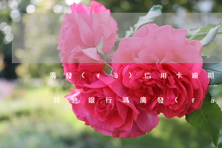 廣發(fā)信用卡逾期會凍結(jié)其他銀行嗎(廣發(fā)銀行信用卡app被凍結(jié)了怎么辦)