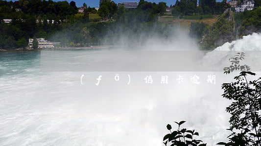 廣發(fā)信用卡逾期會去戶籍地