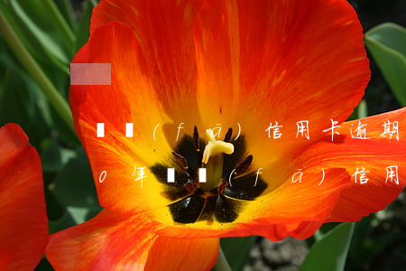 廣發(fā)信用卡逾期會被判刑嗎(2020年廣發(fā)信用卡逾期什么情況會上門)