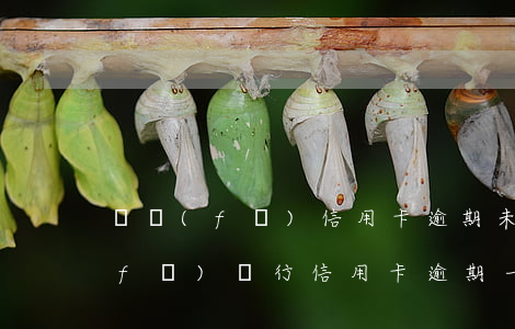廣發(fā)信用卡逾期未還怎么辦(廣發(fā)銀行信用卡逾期一天有沒(méi)有影響?)