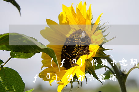 廣發(fā)信用卡逾期未還會怎么(廣發(fā) 信用卡 逾期)